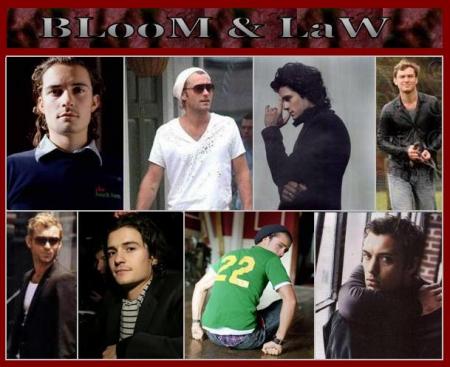 BLooM & LaW